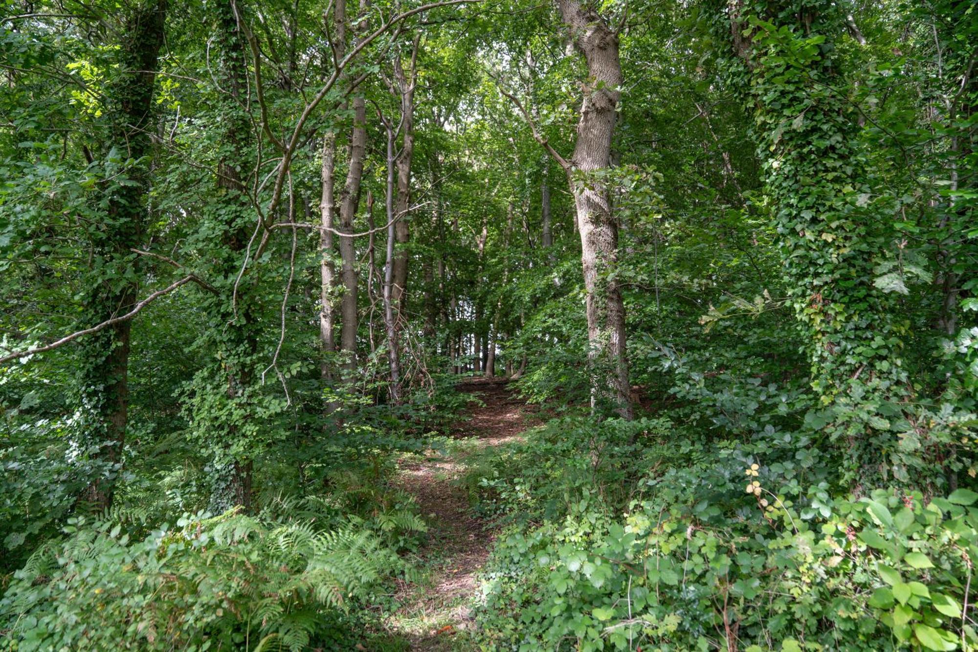 Gite 9 Personnes Fecamp Etretat Colleville Buitenkant foto